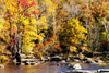 Autumn on the River VII Poster Print by Alan Hausenflock - Item # VARPDXPSHSF568