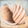 Seashell Collection I Poster Print by Patricia Pinto - Item # VARPDX9208