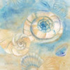 Watercolor Shells I Poster Print by Cynthia Coulter - Item # VARPDXRB7428CC