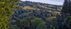 Woodland Pastures I Poster Print by Rita Crane