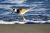 http://c328301.r1.cf1.rackcdn.com/PDXPSHSF717LARGE.jpg