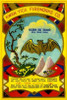 Golden Bat Firecrackers Poster Print by Unknown - Item # VARPDX374986