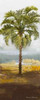 Beach Palm I Poster Print by Michael Marcon - Item # VARPDX8396A