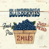 Blueberries Just Picked Poster Print by David Carter Brown - Item # VARPDX3181