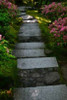 Garden Stairs I Poster Print by Brian Moore - Item # VARPDXPSMRE136