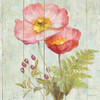 Natural Floral IV Poster Print by Danhui Nai - Item # VARPDX22625