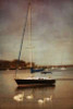 Sunset Sailing II Poster Print by Geyman Vitaly - Item # VARPDXPSVIT491