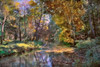 Autumn in The Afternoon Poster Print by John Rivera - Item # VARPDXR1035D