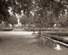 Banc de Jardin - 41 Poster Print by Alan Blaustein