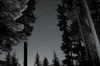 BW Starry Night I Poster Print by Erin Berzel - Item # VARPDXPSBZL811
