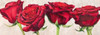 Rose romantiche Poster Print by Luca Villa - Item # VARPDX4LC2852