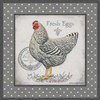Farm Fresh Eggs II Poster Print by Gwendolyn Babbit - Item # VARPDXBAB226