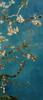 Blossoming Almond Tree - right Poster Print by  Vincent Van Gogh - Item # VARPDX394108