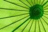 Green Umbrella Poster Print by Kathy Mahan - Item # VARPDXPSMHN239