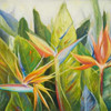 Bird of Paradise I Poster Print by Patricia Pinto - Item # VARPDX9383