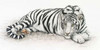 Siberian Tiger Poster Print by Jan Henderson - Item # VARPDXH500D