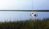 A Still Morning II Poster Print by Alan Hausenflock - Item # VARPDXPSHSF154