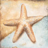 Seashell Collection II Poster Print by Patricia Pinto - Item # VARPDX9209