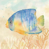 Under the Sea II Poster Print by Cynthia Coulter - Item # VARPDXRB9951CC