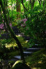 Garden Stairs II Poster Print by Brian Moore - Item # VARPDXPSMRE137