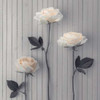 Roses in a row on table Poster Print by  Assaf Frank - Item # VARPDXAF20160318042C01