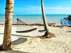 Under the Palms Poster Print by Gail Peck - Item # VARPDX9450HH