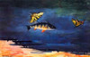 Fish And Butterflies Poster Print by  Winslow Homer - Item # VARPDX373216