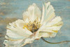 White Peony Poster Print by Patricia Pinto - Item # VARPDX9566A