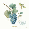 My Greenhouse Fruit III Poster Print by Audit Lisa - Item # VARPDX22224