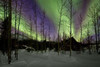 Aurora Borealis XII Poster Print by Larry Malvin - Item # VARPDXPSMAL216