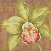 Aloha Beauty Petites B Poster Print by Judy Shelby