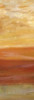 Horizons Spice Panel II Poster Print by Cynthia Coulter - Item # VARPDXRB7310CC