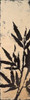 Bamboo Silhouette II Poster Print by Lanie Loreth - Item # VARPDX6891