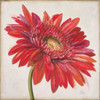 Red Gerber Daisy Poster Print by Patricia Pinto - Item # VARPDX8778