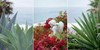 Laguna Coast - 1 Poster Print by Alan Blaustein - Item # VARPDXABSPT002