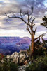 Evening on the Rim I Poster Print by Alan Hausenflock - Item # VARPDXPSHSF1483