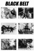 Black Belt Movie Poster Print (27 x 40) - Item # MOVIF6314