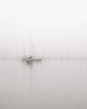 Sailboats Poster Print by Nicholas Bell - Item # VARPDXB3347D