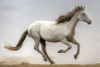 Against The Wind Poster Print by Sally Linden - Item # VARPDXLIN16
