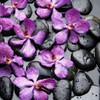 Zen Pebbles Poster Print by PhotoINC Studio - Item # VARPDXIN380013