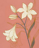 Terra Cotta Lillies II Poster Print by Design Show - Item # VARPDX62129