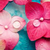 Pink Flowers Poster Print by PhotoINC Studio - Item # VARPDXIN31686