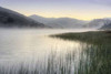 Crescent Beach Calm 1 Poster Print by Alan Blaustein - Item # VARPDXB3361D