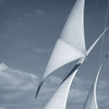 Sails Poster Print by PhotoINC Studio - Item # VARPDXIN30926