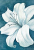 Wistful Lily I Poster Print by Kaye Lake - Item # VARPDX85231