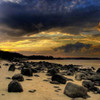 Rocks on Beach Poster Print by PhotoINC Studio - Item # VARPDXIN31396