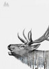 Deer Poster Print by Clean Nature - Item # VARPDXIN32109