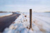 Walking on the Edge of Winter Poster Print by Dawn D. Hanna - Item # VARPDXH1234D