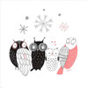 Owl IV Poster Print by GraphINC - Item # VARPDXIN32120
