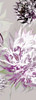 Purple Allure III Poster Print by Sally Scaffardi - Item # VARPDX63144